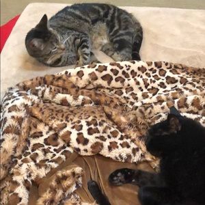 Meet your Posher, Teri